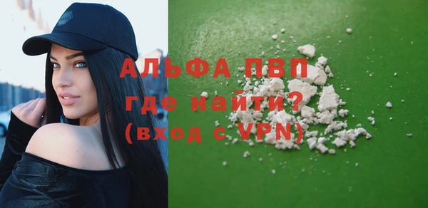 гидра Михайловка