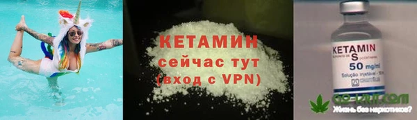 гидра Михайловка