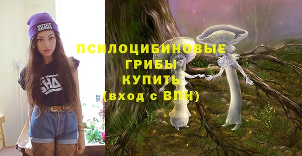 ALPHA-PVP Надым