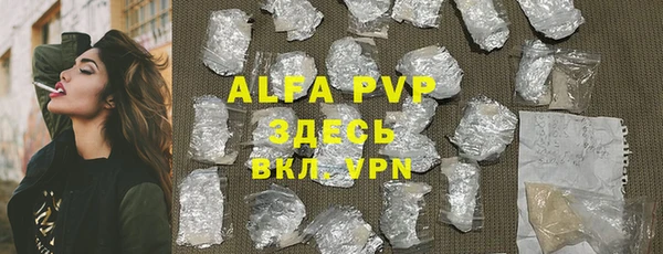 гидра Михайловка