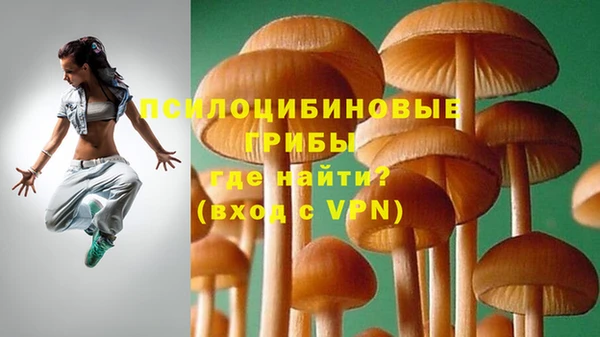 дживик Михайловск