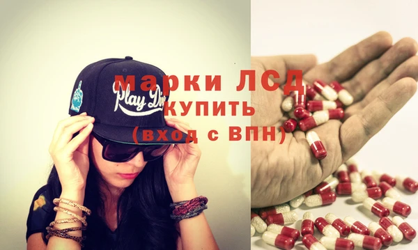 гидра Михайловка