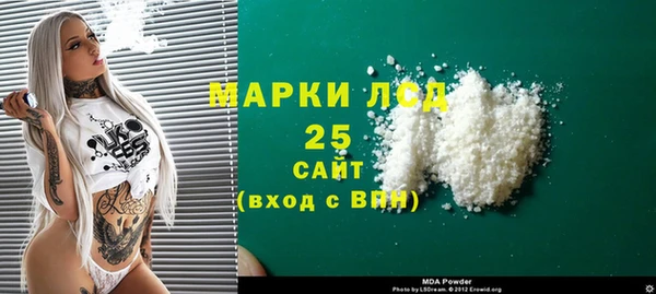 гидра Михайловка