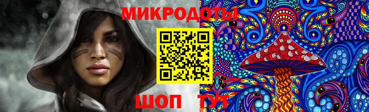 Псилоцибиновые грибы Psilocybe  Вход с VPN  Урус-Мартан  Псилоцибиновые грибы мицелий 
